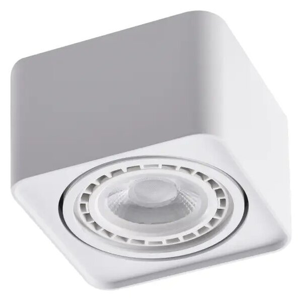 Bodové svetlo Paola 1 230V biele – Biela