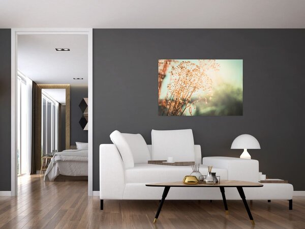 Obraz - Rastliny po daždi (90x60 cm)