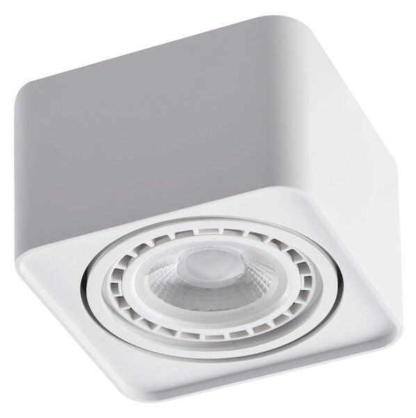 Bodové svetlo Paola 1 230V biele – Biela