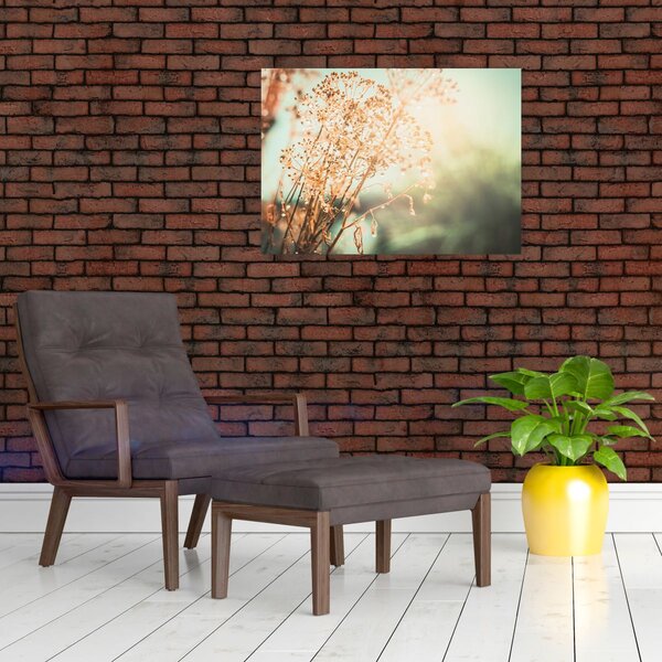 Obraz - Lúčne rastliny (70x50 cm)