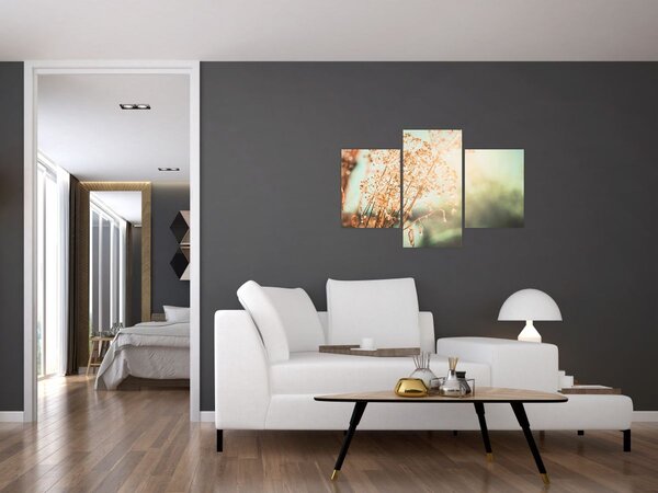 Obraz - Lúčne rastliny (90x60 cm)