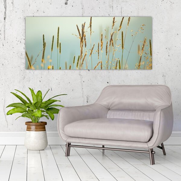 Obraz - Lúčny okamih (120x50 cm)