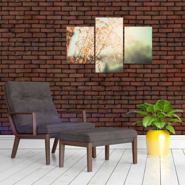 Obraz - Lúčne rastliny (90x60 cm)