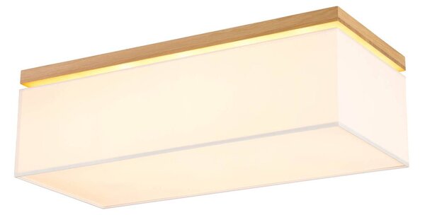 Stropné svietidlo Canvas, 70 cm x 30 cm, biela