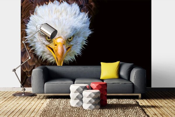 DIMEX | Vliesové fototapety na stenu Americký orol MS-5-2956 | 375 x 250 cm | biela, čierna, hnedá