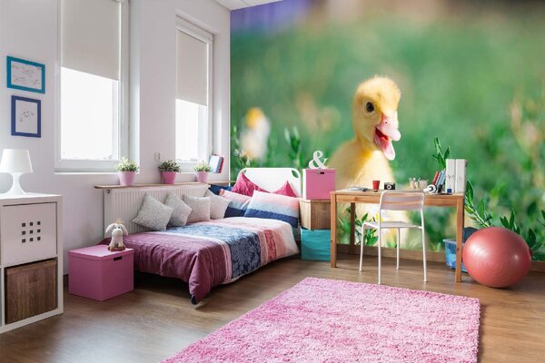 DIMEX | Vliesové fototapety na stenu Žlté káčatko MS-5-0474 | 375 x 250 cm | zelená, žltá, oranžová
