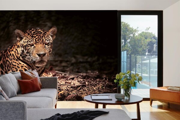 DIMEX | Vliesové fototapety na stenu Ležiaci leopard MS-5-0538 | 375 x 250 cm | béžová, čierna, hnedá