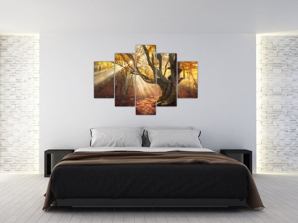 Obraz - Jesenný svit (150x105 cm)