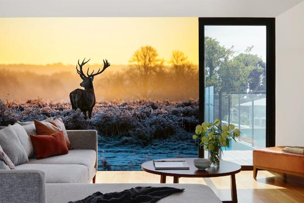 Samolepiaca vliesová fototapeta Jeleň európsky v zime 375 x 250 cm