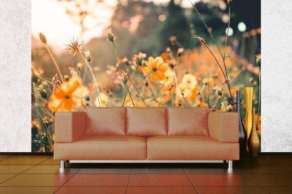 Samolepiaca vliesová fototapeta Oranžové kvety 375 x 250 cm