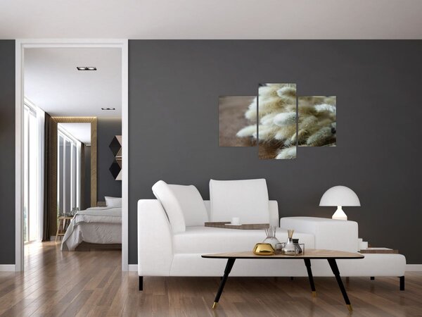 Obraz - Zajačí chvostík (90x60 cm)