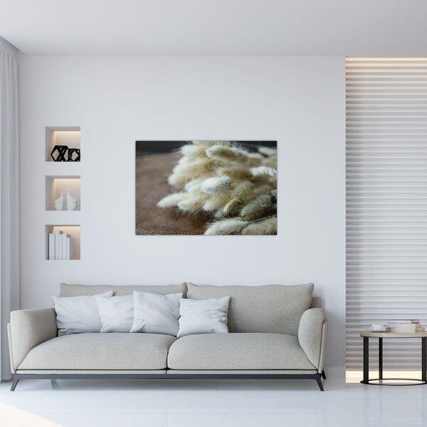 Obraz - Zajačí chvostík (90x60 cm)