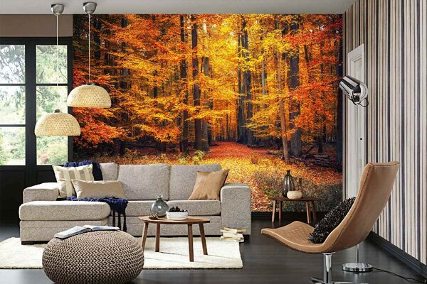 DIMEX | Vliesové fototapety na stenu Cesta v jesennom parku MS-5-1933 | 375 x 250 cm | žltá, oranžová, hnedá