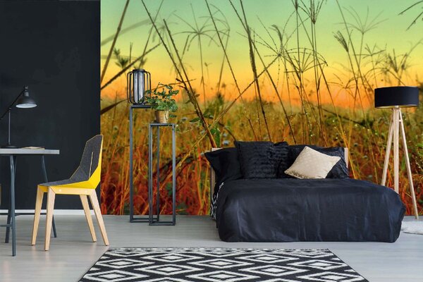 DIMEX | Vliesové fototapety na stenu Burina MS-5-1354 | 375 x 250 cm | zelená, žltá, oranžová