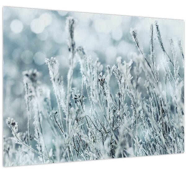 Obraz - Kúzlo zimy (70x50 cm)