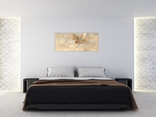 Obraz - Sova (120x50 cm)