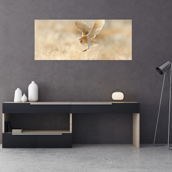 Obraz - Sova (120x50 cm)
