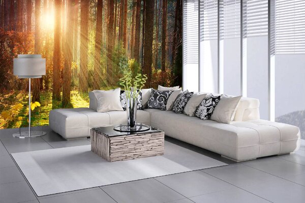 DIMEX | Vliesové fototapety na stenu Jeseň v lese MS-5-1851 | 375 x 250 cm | zelená, žltá, hnedá