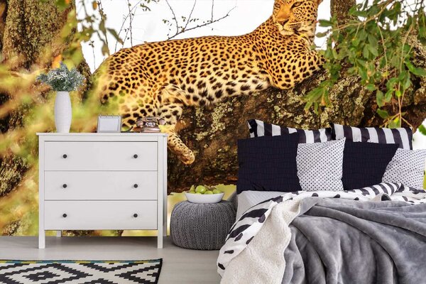 DIMEX | Vliesové fototapety na stenu Africký leopard MS-5-0571 | 375 x 250 cm | zelená, čierna, hnedá