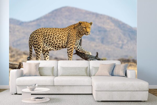 DIMEX | Vliesové fototapety na stenu Leopard v Dusternbrooku MS-5-0603 | 375 x 250 cm | čierna, žltá, hnedá