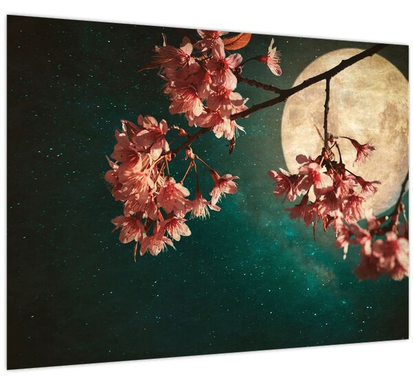 Obraz - Sakura v splne (70x50 cm)