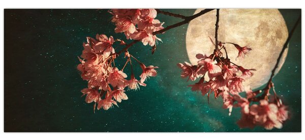 Obraz - Sakura v splne (120x50 cm)