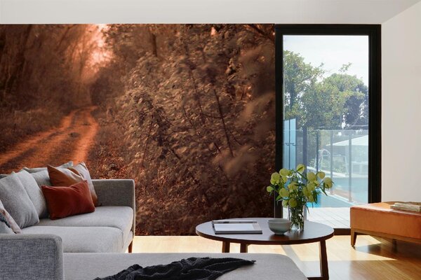 DIMEX | Vliesové fototapety na stenu Cesta lemovaná dubmi MS-5-1708 | 375 x 250 cm | zelená, oranžová