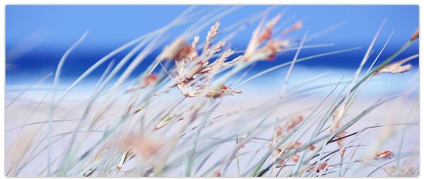 Obraz - Vánok (120x50 cm)