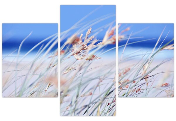 Obraz - Vánok (90x60 cm)