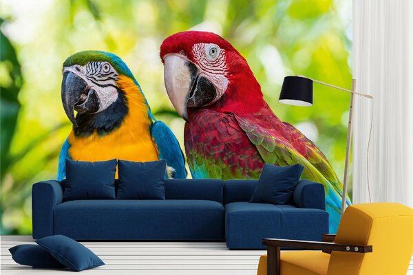 DIMEX | Vliesové fototapety na stenu Modrý a zlatý Macaw MS-5-0412 | 375 x 250 cm | zelená, modrá, červená, žltá