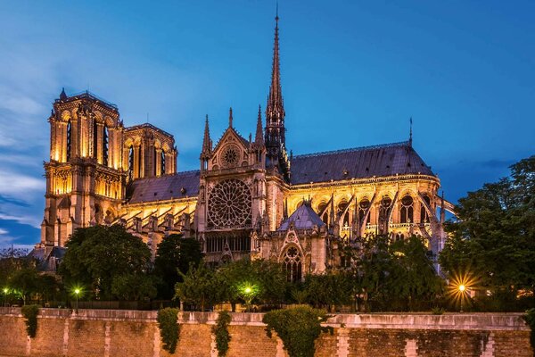 DIMEX | Vliesové fototapety na stenu Notre-Dame MS-5-1036 | 375 x 250 cm | zelená, modrá, hnedá
