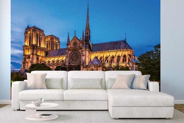 DIMEX | Vliesové fototapety na stenu Notre-Dame MS-5-1036 | 375 x 250 cm | zelená, modrá, hnedá