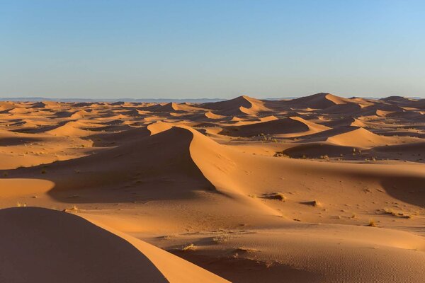 DIMEX | Vliesové fototapety na stenu Púšť Sahara MS-5-1935 | 375 x 250 cm | modrá, žltá
