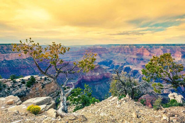 DIMEX | Vliesové fototapety na stenu Ráno v Grand Canyone MS-5-1645 | 375 x 250 cm | žltá, oranžová, hnedá