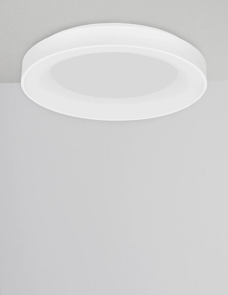 Stropné svietidlo LED so stmievaním Rando Smart 60 biele – Biela