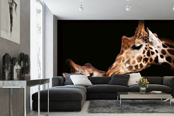 DIMEX | Vliesové fototapety na stenu Žirafia láska MS-5-0446 | 375 x 250 cm | béžová, čierna, žltá, hnedá