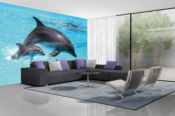 Samolepiaca vliesová fototapeta Dva delfíny 375 x 250 cm
