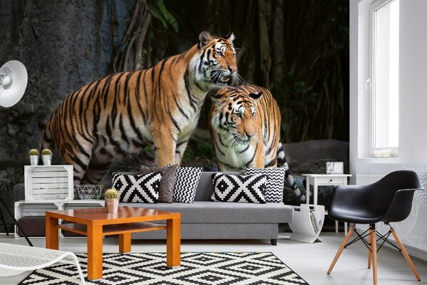 DIMEX | Vliesové fototapety na stenu Tiger indický MS-5-0589 | 375 x 250 cm | biela, oranžová, hnedá, šedá