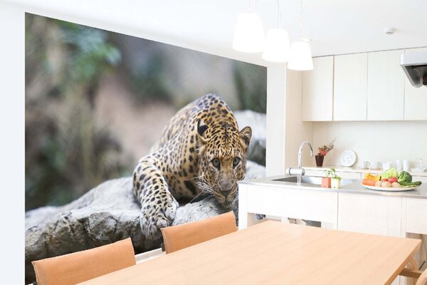 DIMEX | Vliesové fototapety na stenu Leopard na skale MS-5-0606 | 375 x 250 cm | béžová, hnedá, šedá