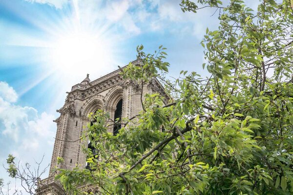 DIMEX | Vliesové fototapety na stenu Notre Dame MS-5-1021 | 375 x 250 cm | zelená, modrá, biela, béžová