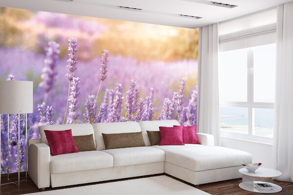 DIMEX | Vliesové fototapety na stenu Horská levanduľa MS-5-1389 | 375 x 250 cm | fialová, hnedá