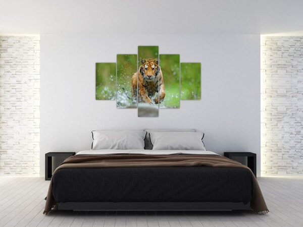 Obraz - Bežiaci tiger (150x105 cm)