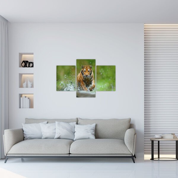 Obraz - Bežiaci tiger (90x60 cm)
