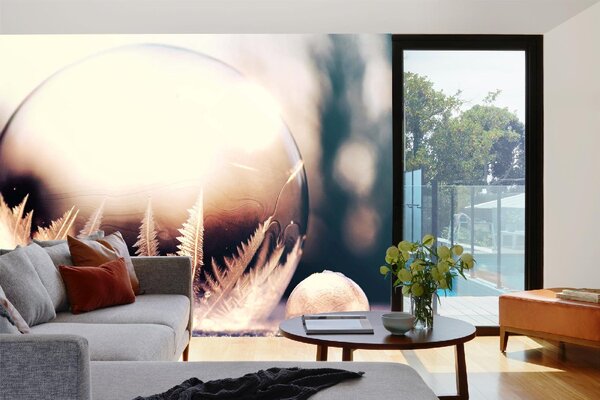 DIMEX | Vliesové fototapety na stenu Zamrznutá bublina MS-5-1726 | 375 x 250 cm | biela, hnedá
