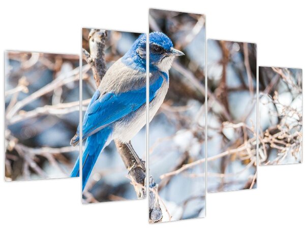 Obraz - Zimný vtáčik (150x105 cm)
