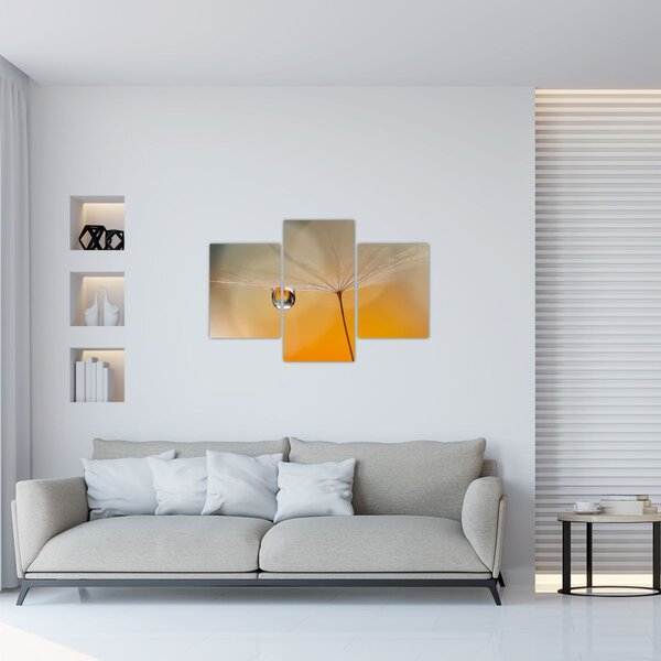 Obraz - Makro kvetu (90x60 cm)