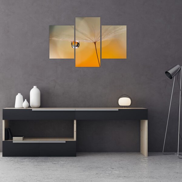 Obraz - Makro kvetu (90x60 cm)