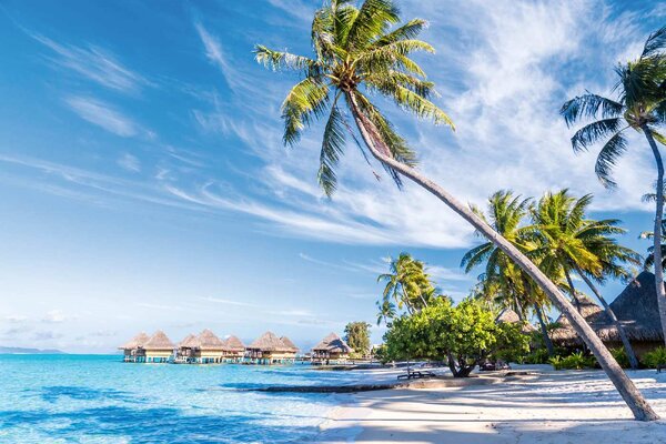 DIMEX | Vliesové fototapety na stenu Palma na Bora Bora MS-5-3248 | 375 x 250 cm | zelená, modrá, biela