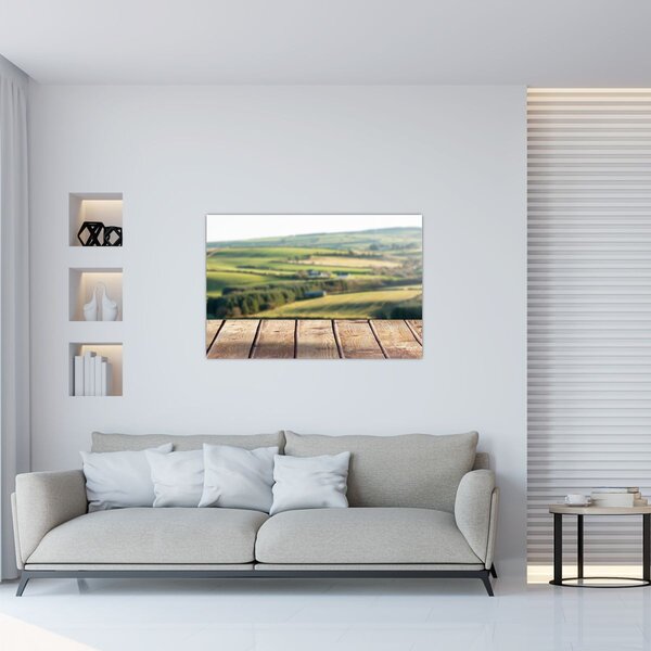 Obraz - Výhľad na krajinu (90x60 cm)
