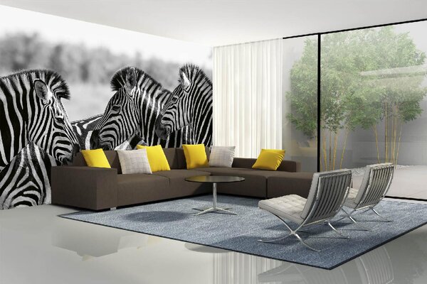 DIMEX | Vliesové fototapety na stenu Stádo zebier MS-5-0393 | 375 x 250 cm | biela, čierna